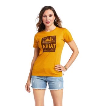 Ariat Ariat Farmland T-Shirt Buckhorn Heather | VnQ6D014