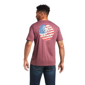 Ariat Ariat Flag Circle T-Shirt Bordeaux | ukmCYlim