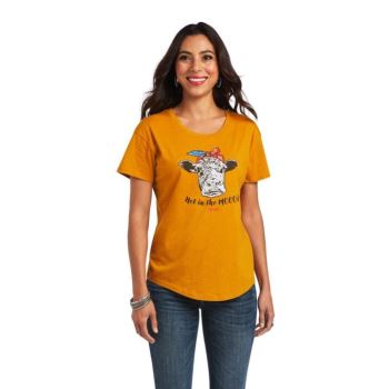 Ariat Ariat Not in the Mood T-Shirt Buckhorn Heather | wunpaBnc