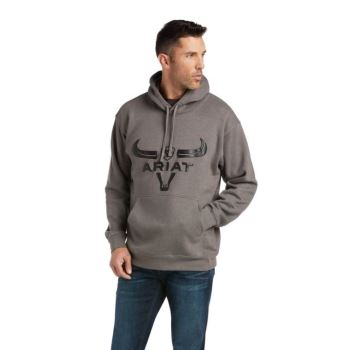 Ariat Basic Hoodie Sweatshirt Grau | zKoamN9z