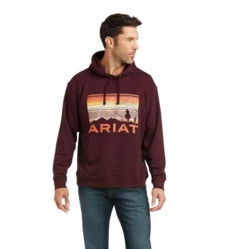 Ariat Basic Hoodie Sweatshirt Malbec Southwest Scenic | St3K6SRh