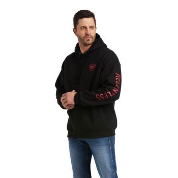 Ariat Basic Hoodie Sweatshirt Rot | FUYddZI4