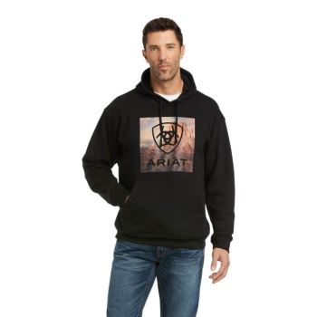 Ariat Basic Hoodie Sweatshirt Schwarz | b4G6jNd5