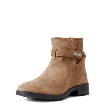 Ariat Charlie Wasserdichte Boot Fawn | GJz2DrWp