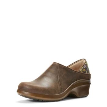 Ariat Hera Expert Clog Braun | W0zgtprD