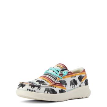 Ariat Hilo Buffalo Print | ibTKqmVv