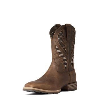 Ariat Hybrid VentTEK Western Boot Braun | 7i75eeca