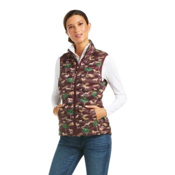 Ariat Ideal 3.0 Down Vest Pasture Print | 8cFqjJcU