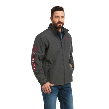 Ariat Logo 2.0 Softshell Jacket Grau | NPTQYv7r