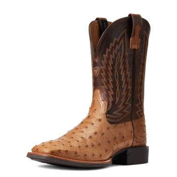 Ariat Quantum Primo Western Boot Ranger Full Quill Ostrich | KHHsh7Vc