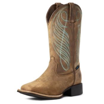 Ariat Round Up Weite Square Kappe Wasserdichte Western Boot Braun | ZaAyWSvT