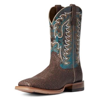 Ariat Stinger Western Boot Dunkelbraun | jmBCCL2B