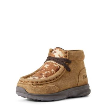 Ariat Toddler Lil' Stompers Dallas Spitfire Braun | zuZRX9eY