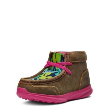 Ariat Toddler Lil' Stompers Roswell Spitfire Braun | x0pdNB3P