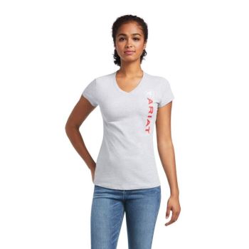 Ariat Vertical Logo T-Shirt Grau | 3eeKAtXp