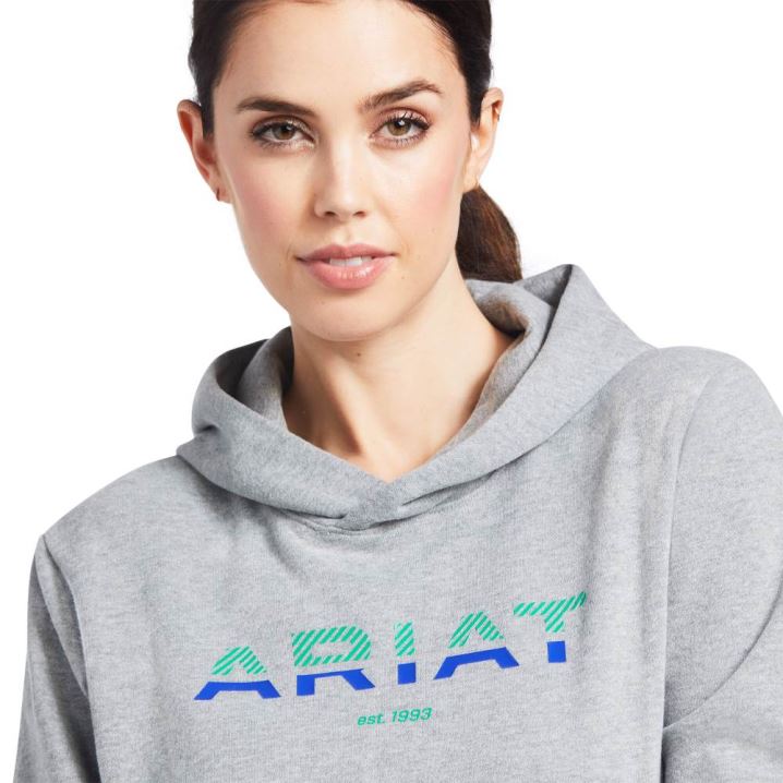 Ariat 3D Logo 2.0 Hoodie Grau | WZXEtPvL