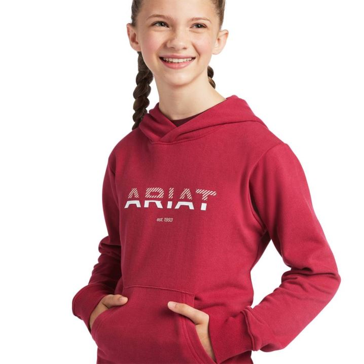 Ariat 3D Logo 2.0 Hoodie Rot | aMnmXtiJ