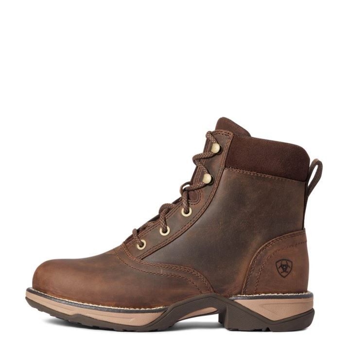 Ariat Anthem Round Kappe Lacer Boot Braun | st789DAT