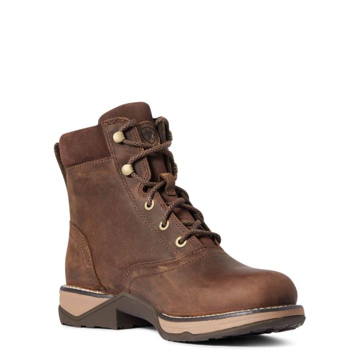 Ariat Anthem Round Kappe Lacer Boot Braun | st789DAT