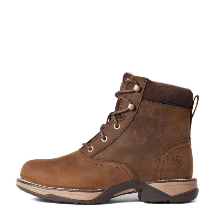 Ariat Anthem Round Kappe Lacer Wasserdichte Boot Braun | 0UqD8xhZ