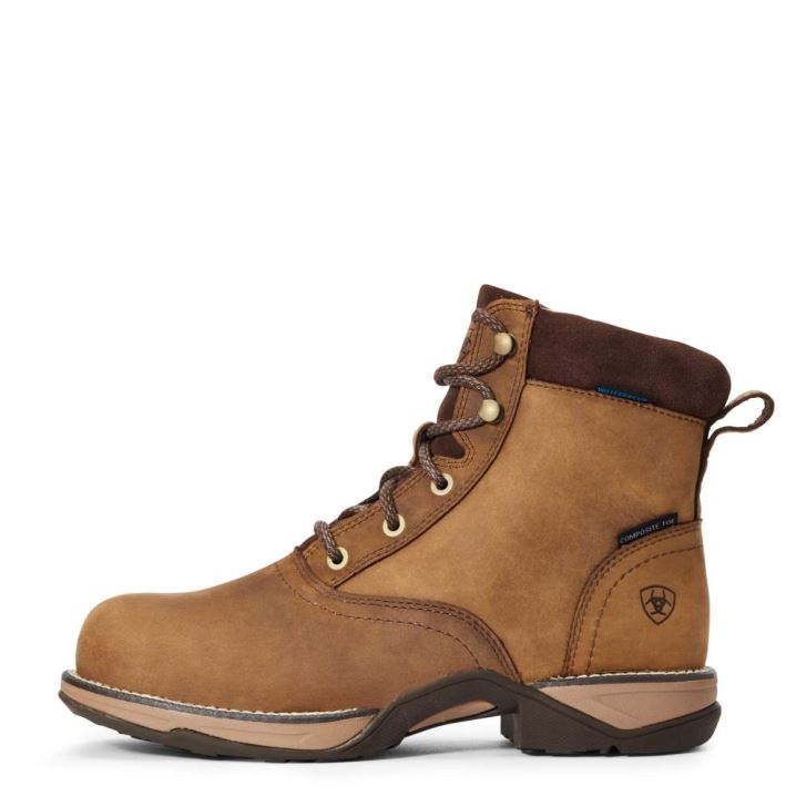 Ariat Anthem Round Kappe Lacer Wasserdichte Composite Kappe Arbeits Boot Braun | RXoAw7gh