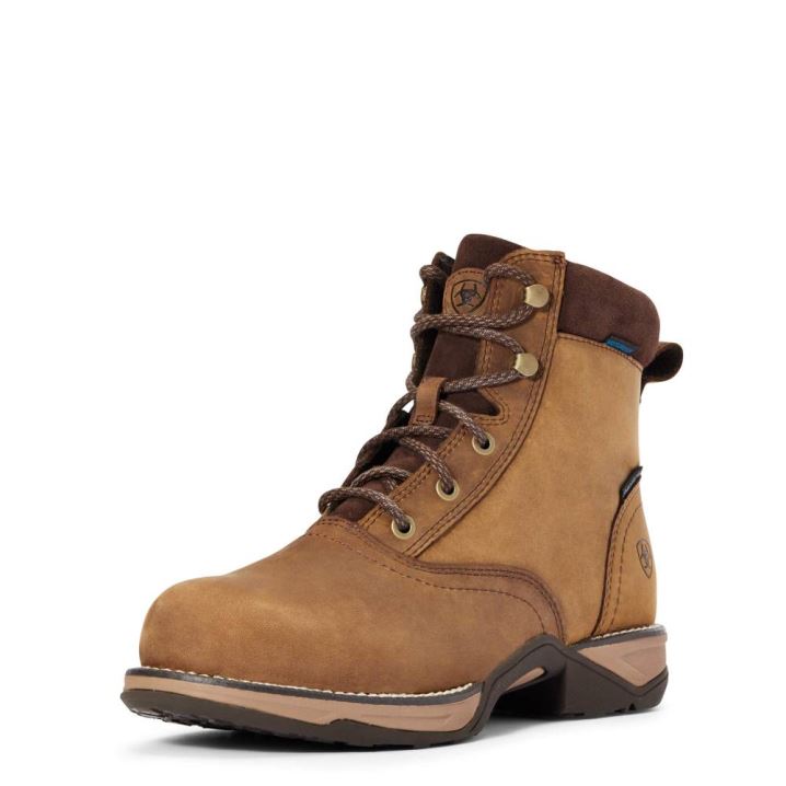 Ariat Anthem Round Kappe Lacer Wasserdichte Composite Kappe Arbeits Boot Braun | RXoAw7gh