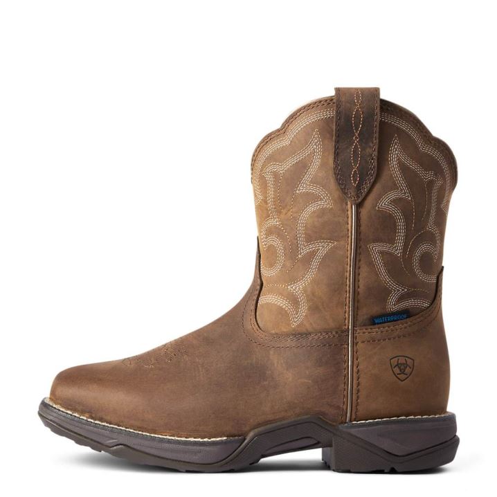 Ariat Anthem Shortie II Wasserdichte Western Boot Braun | oey9iLhF