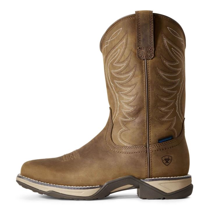 Ariat Anthem Wasserdichte Western Boot Braun | tZT8IT7k