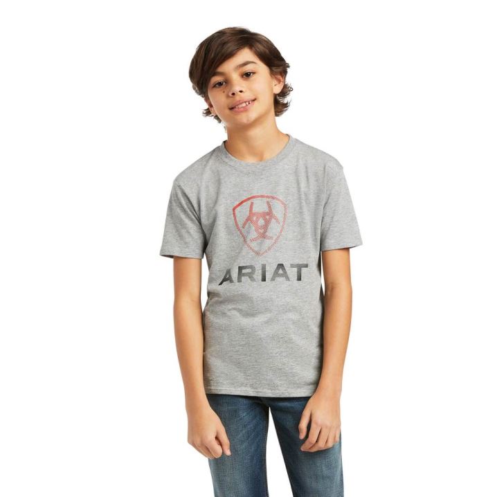 Ariat Ariat Blends T-Shirt Athletic Heather | MZr8H2lU