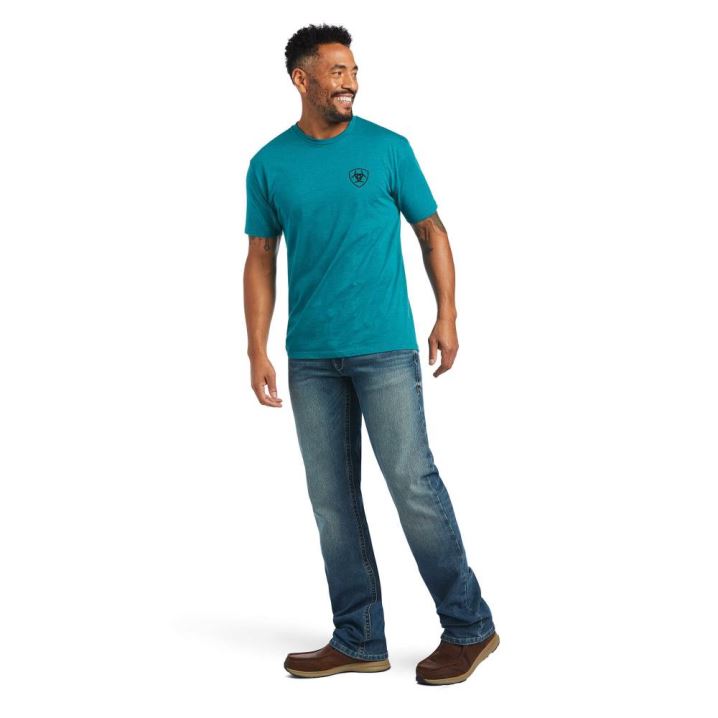 Ariat Ariat Diamond Wood T-Shirt Türkis Grün | 613uYLSp