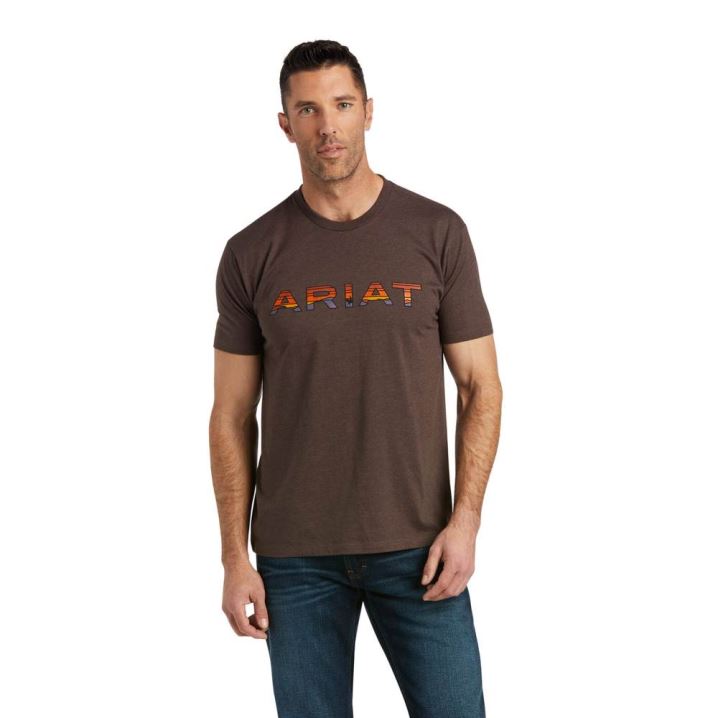 Ariat Ariat Dusk Fill T-Shirt Braun | j9DHF7Rf