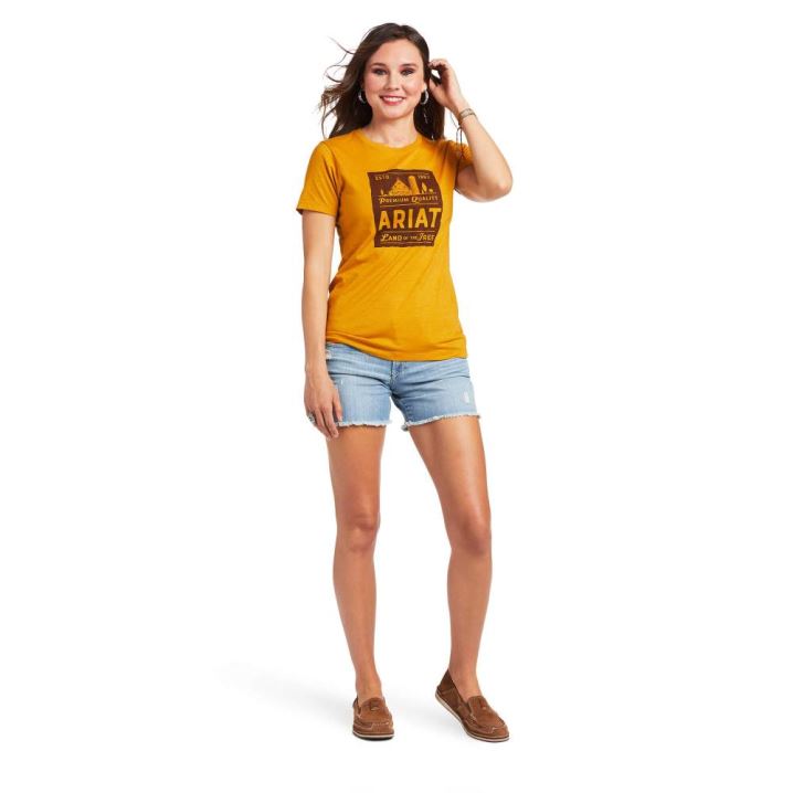 Ariat Ariat Farmland T-Shirt Buckhorn Heather | VnQ6D014