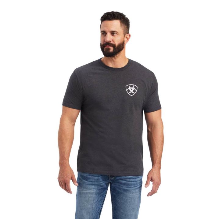 Ariat Ariat Flag T-Shirt Grau | 63dYQice