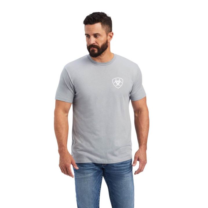 Ariat Ariat Flag T-Shirt Grau | Bgswctq0