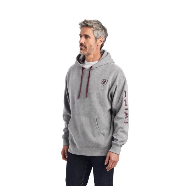 Ariat Ariat Logo Hoodie Grau | 5Ij3rkTs