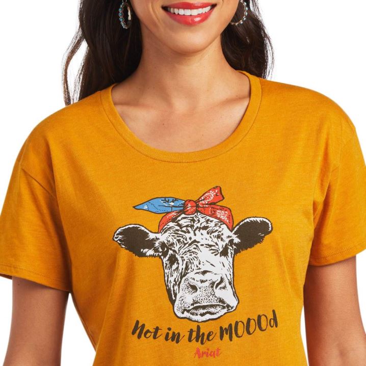 Ariat Ariat Not in the Mood T-Shirt Buckhorn Heather | wunpaBnc