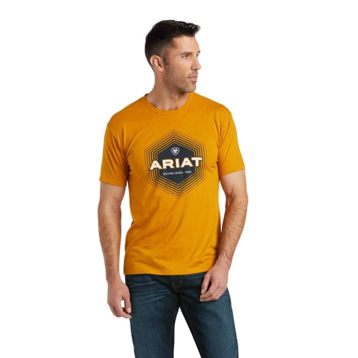 Ariat Ariat Paradigm T-Shirt Buckhorn Heather | vhGhR81k