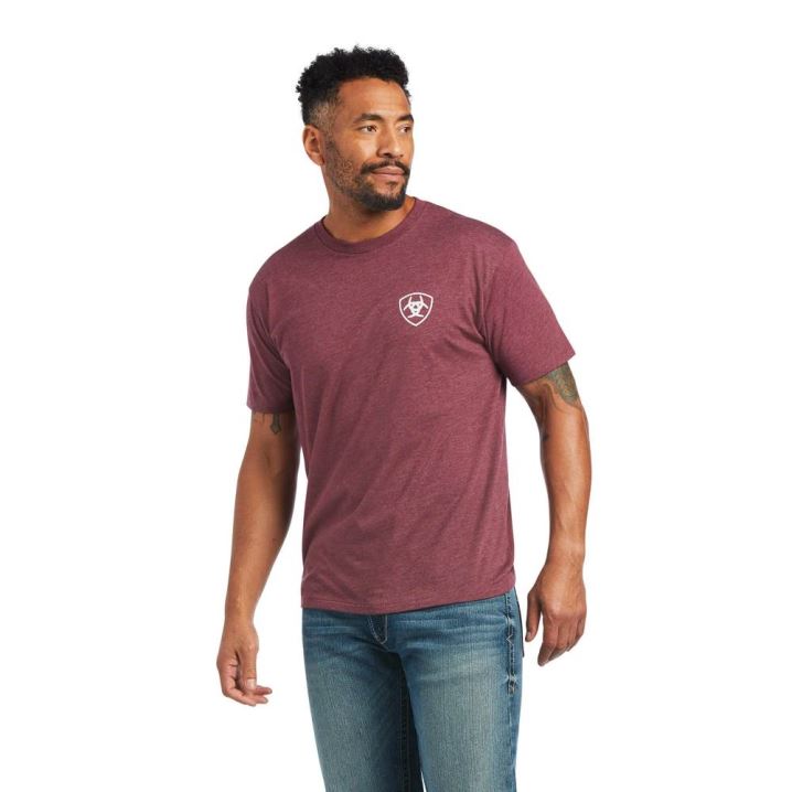 Ariat Ariat Schnallen Flag T-Shirt Bordeaux | G5erTDaS