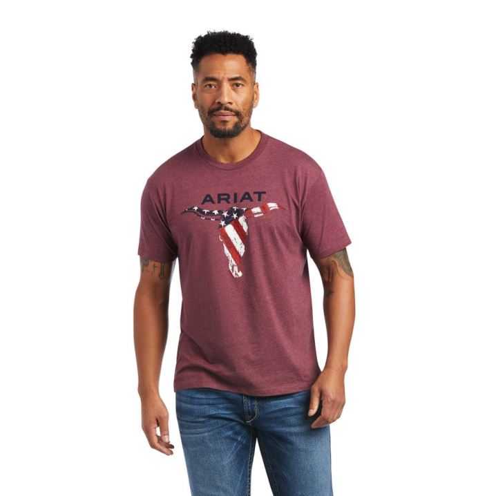 Ariat Ariat Steer Skull USA T-Shirt Bordeaux | xfxfddeG