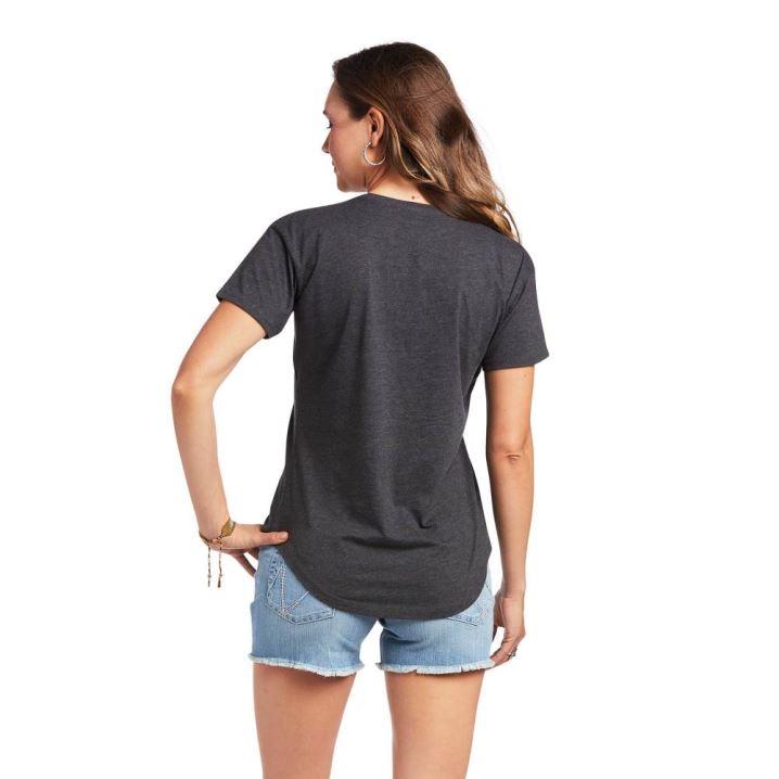 Ariat Ariat Wild Country T-Shirt Grau | T6tMOrMP