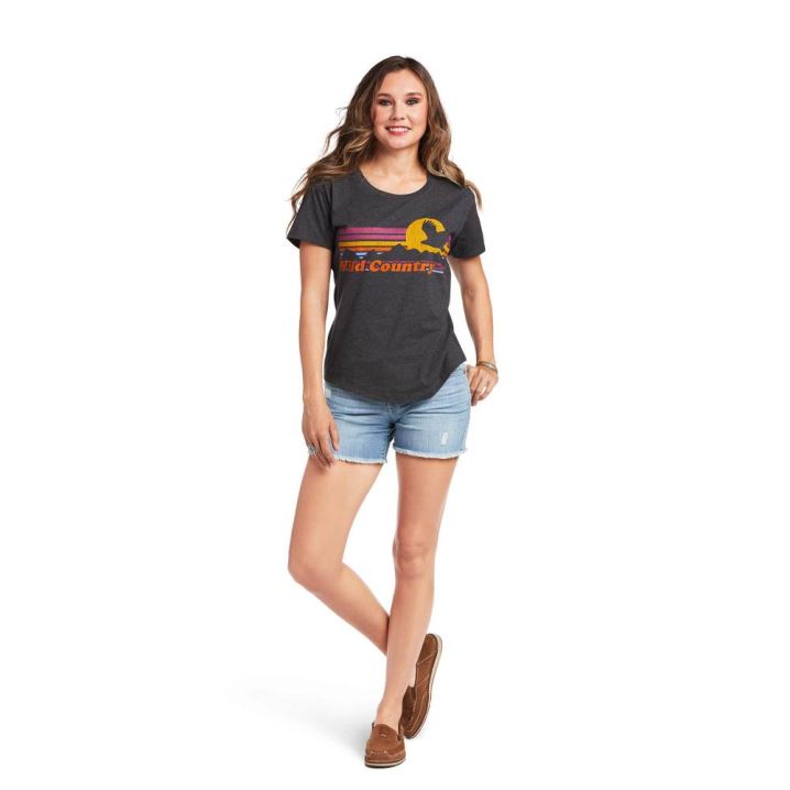 Ariat Ariat Wild Country T-Shirt Grau | T6tMOrMP