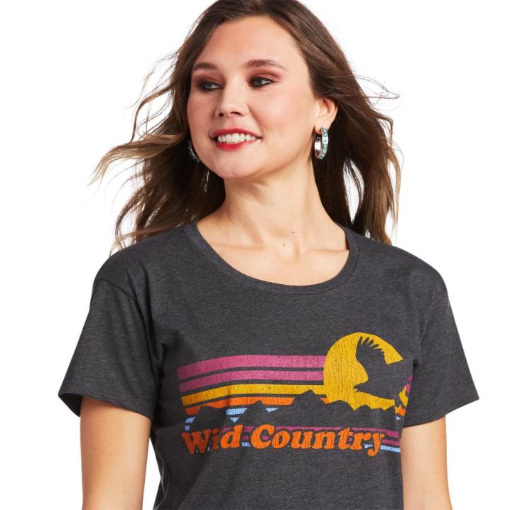 Ariat Ariat Wild Country T-Shirt Grau | T6tMOrMP