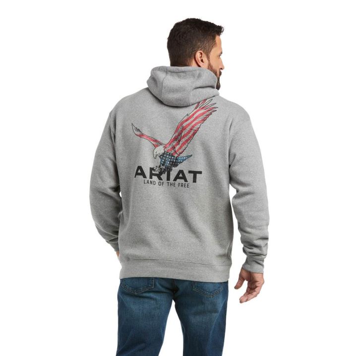 Ariat Basic Hoodie Sweatshirt Grau | LzkNHokZ