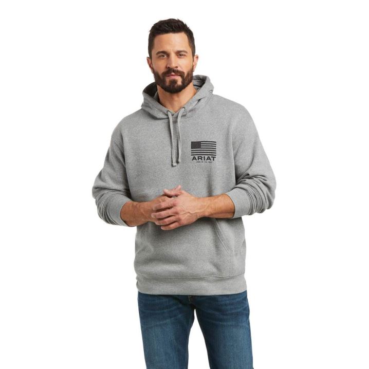 Ariat Basic Hoodie Sweatshirt Grau | LzkNHokZ