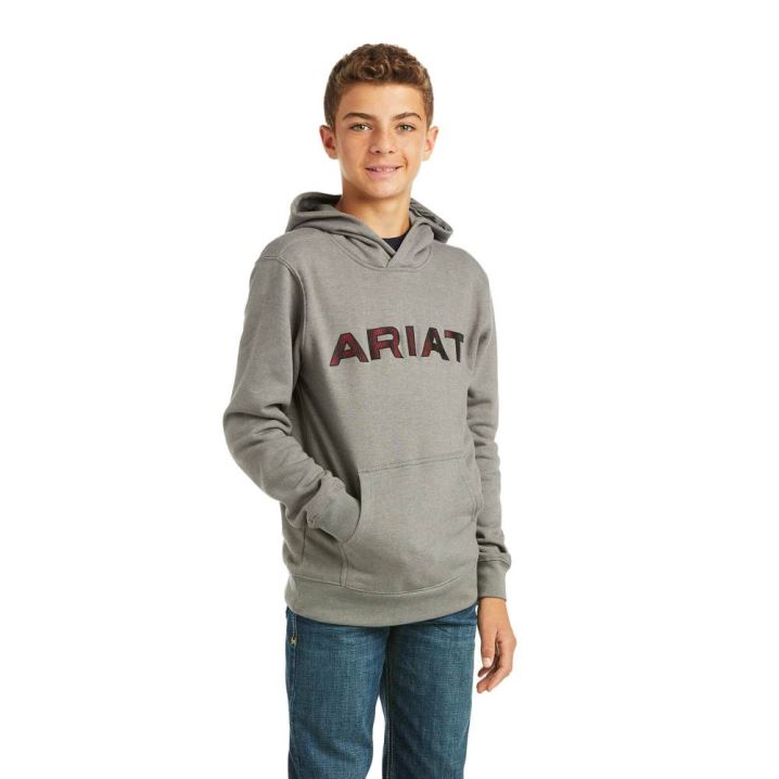 Ariat Basic Hoodie Sweatshirt Grau Rot | 0wpvABSP