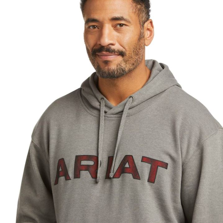 Ariat Basic Hoodie Sweatshirt Grau Rot | iuyvCTEf