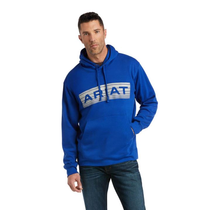 Ariat Basic Hoodie Sweatshirt Grau | clJ3sQHV