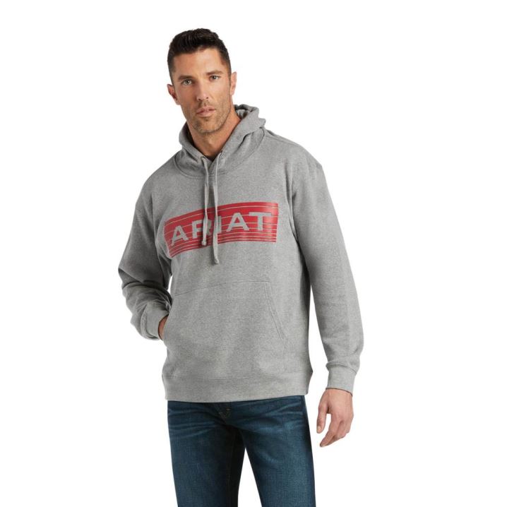 Ariat Basic Hoodie Sweatshirt Orange | Q2iy0EPi