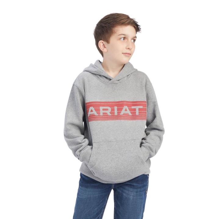 Ariat Basic Hoodie Sweatshirt Orange | xaXtt9OQ