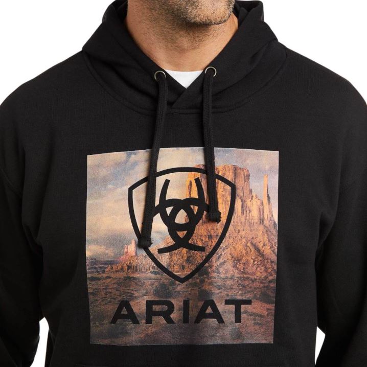 Ariat Basic Hoodie Sweatshirt Schwarz | b4G6jNd5